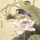 荷塘觅趣   40X40cm