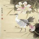 误入藕花深处 40X40cm
